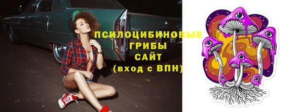 шишки Инта