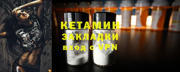 шишки Инта