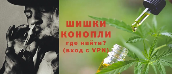 МДПВ Иннополис