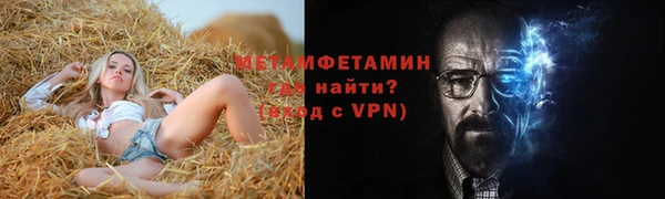 шишки Инта
