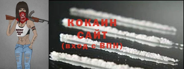 шишки Инта