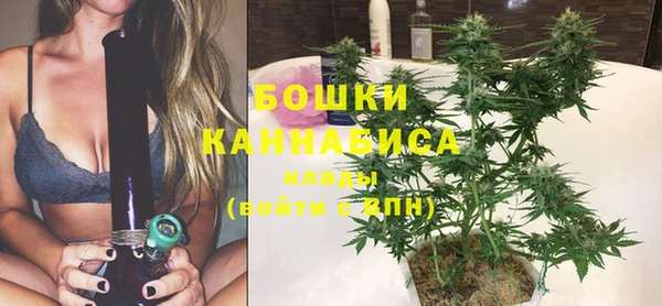 шишки Инта