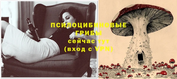 шишки Инта