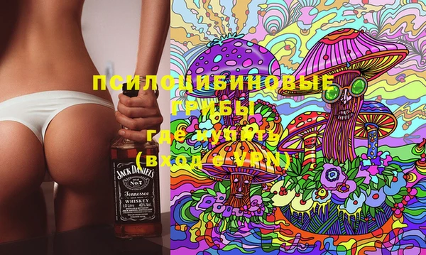 МДПВ Иннополис