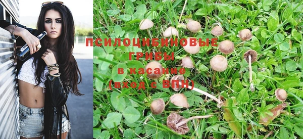 МДПВ Иннополис