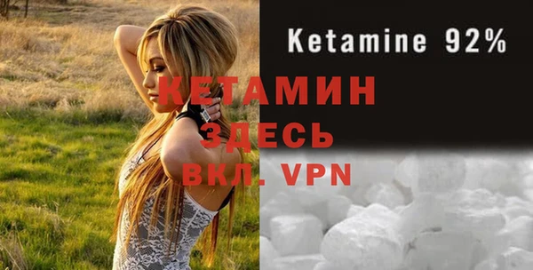 шишки Инта