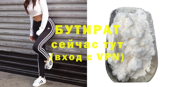 шишки Инта