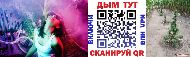 Бошки марихуана план Сосновка